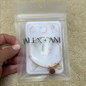 Alex and Ani Gold Charm Bracelet